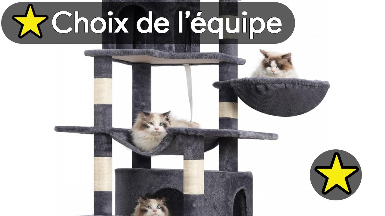 🏆 TOP 3 ARBRE A CHAT AVEC 2 NICHES 2025 🐾