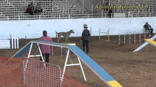 20103112 std 2