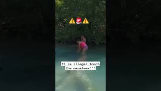 Celebrity $500 fine and 60 days in jail for touching manatees! #manatee #jail #fine #sheriff #fwc Net Worth