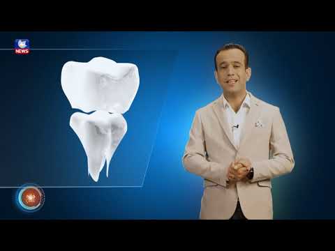 وەرزی یەکەمی چارە چی پێشکەشکررا 