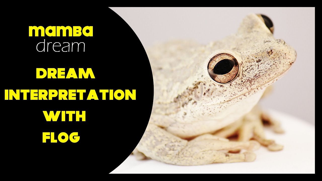 AMAZING. What does frog dream meaning , dream interpretation , dreaminh of frog