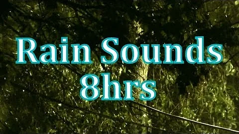 "Rain" 8 hours of "Rain Sounds"    "Sleep Sounds" ASMR