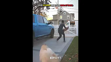 The Last Guy 