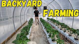Greenhouse Update Scaling Up How I Got Started
