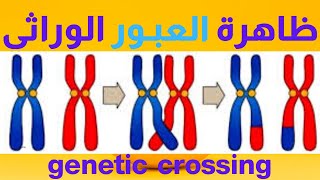 ظاهرة العبور الوراثي