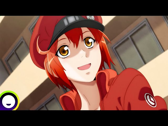 Watch Cells at Work! (English Dubbed Version)- Season 1