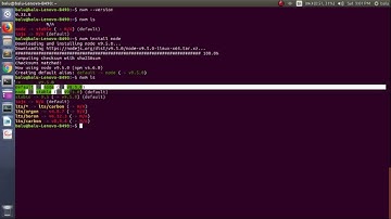 Install and Manage Multiple Versions Of NodeJs On Your Linux
