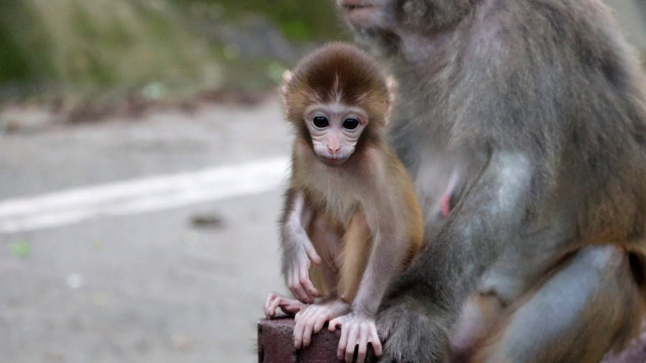 Stevie and Scott: peers with different fate