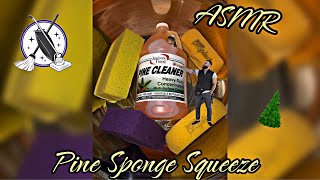 ASMR~Pine Sponge Squeeze~Janitor’s Finest~Oddly Satisfying #asmr #asmrpine #spongesqueezing