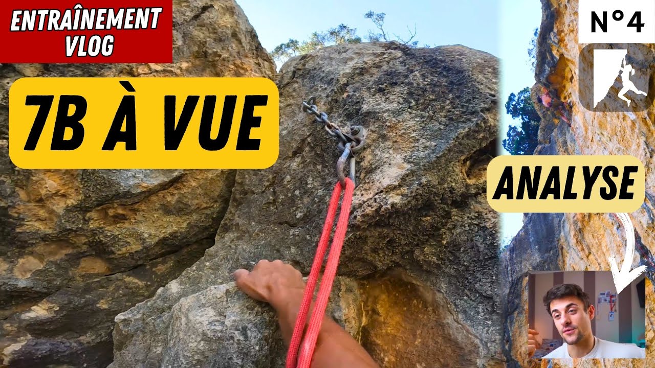 7b à vue et Analyse - Rodellar