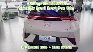 2025 BYD Seagull Smart Driving Edition