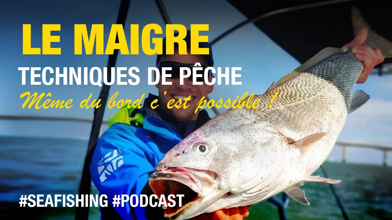 Pêcher le MAIGRE du BORD au leurre c'est possible !