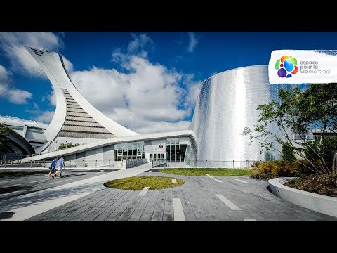 Vidéo: Visiter le Planétarium de Montréal avec des enfants