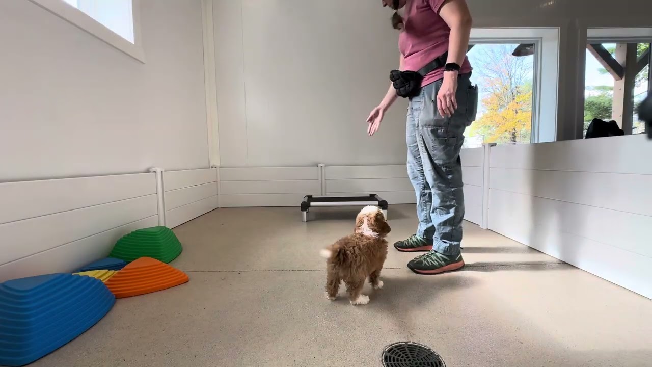 Ruby Training Session 10/29