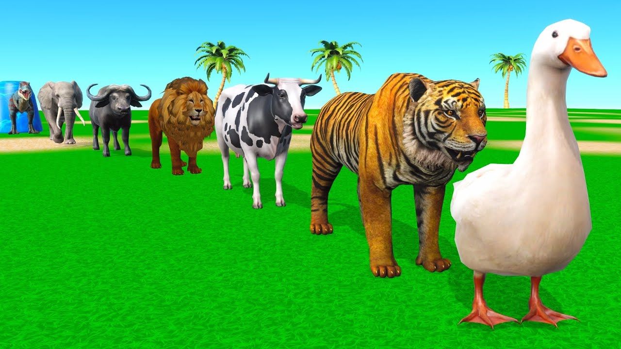 Long Slide Game with Cow Elephant Gorilla Hippopotamus Tiger 3d Animal Game Funny 3d Animals