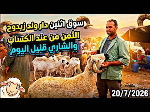 مباشرة من سوق الإثنين دار ولد زيدوح الخروف الكسابي والحولي والحولية والنعجة تاريخ 20/7/2026🐏🐑🇲🇦