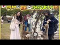 奈良の鹿が可愛すぎる!🦌😍 初めてのふれあい体験奈良公園で鹿と遊んでみた!🇯🇵✨