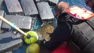 U.S. Coast Guard Cutter Seizes Nearly 7 Tons of Cocaine and Rescues Ocean Wildlife