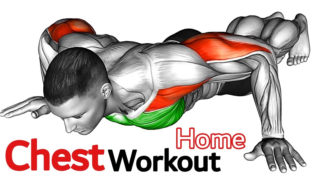 Chest workout at home no equipment (Push-up exercise) - YouTube