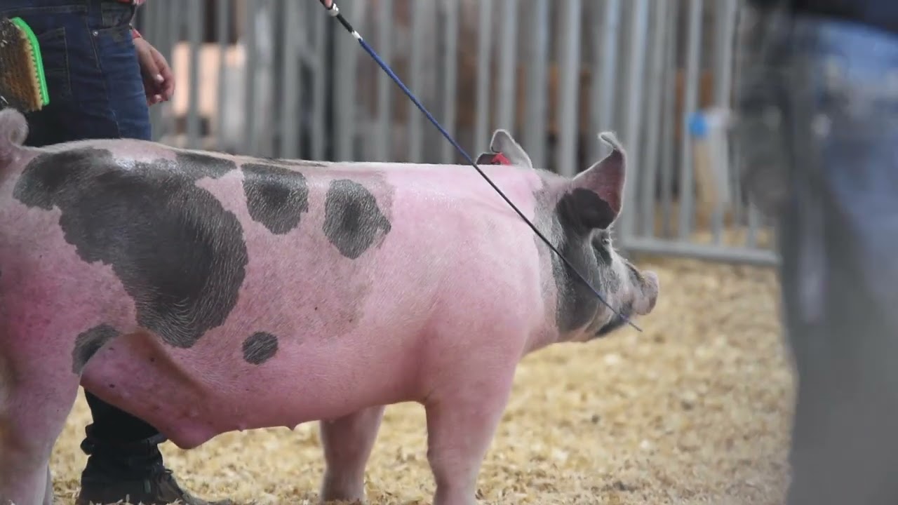 Traceability Education Video