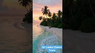 Golden skies, gentle waves, and the peaceful sound of the ocean at sunrise 🌴🌅Experience the magic