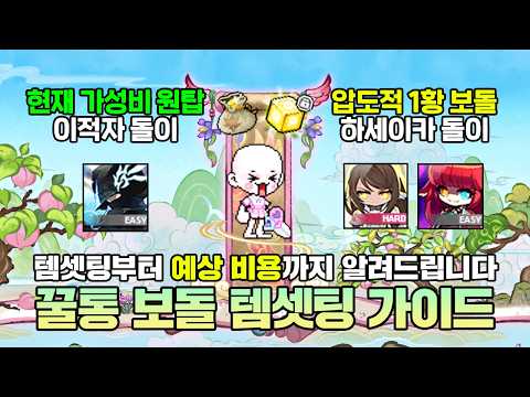 지금 제일 좋은 보돌들은 얼마를 써야 맞출 수 있을까? 이지 대적자~하세이카 돌이 템셋팅 가이드 thumbnail