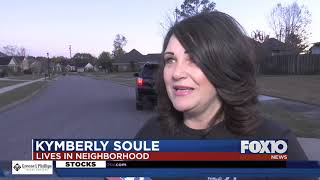 Christmas decoration stolen from West Mobile home