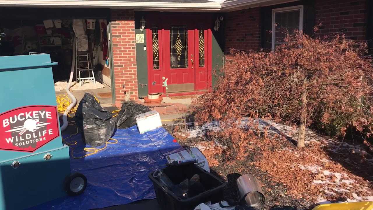 Home Insulation Services Ohio