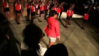 Clemson DST Spring 13 Probate pt. 4