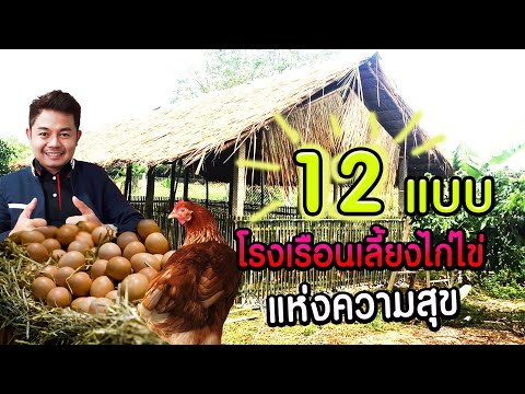 12 แบบ เล้าไก่ไข่ แห่งความสุข - โต๋ Pakdong Channel