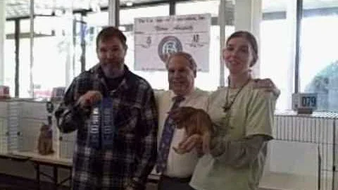 Watch the video about Voodoo blue abyssinian is a Grand Springfield,Illinois CFA CAT show