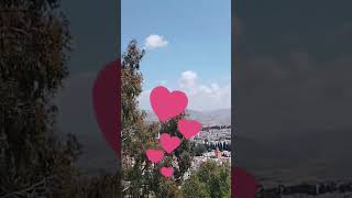 #taza😎👍🤠🏞️🌹