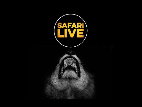 SafariLIVE - Sunset Safari - April 20, 2018