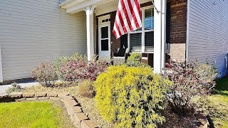 110 Katrina Street Sneads Ferry, NC 28460
