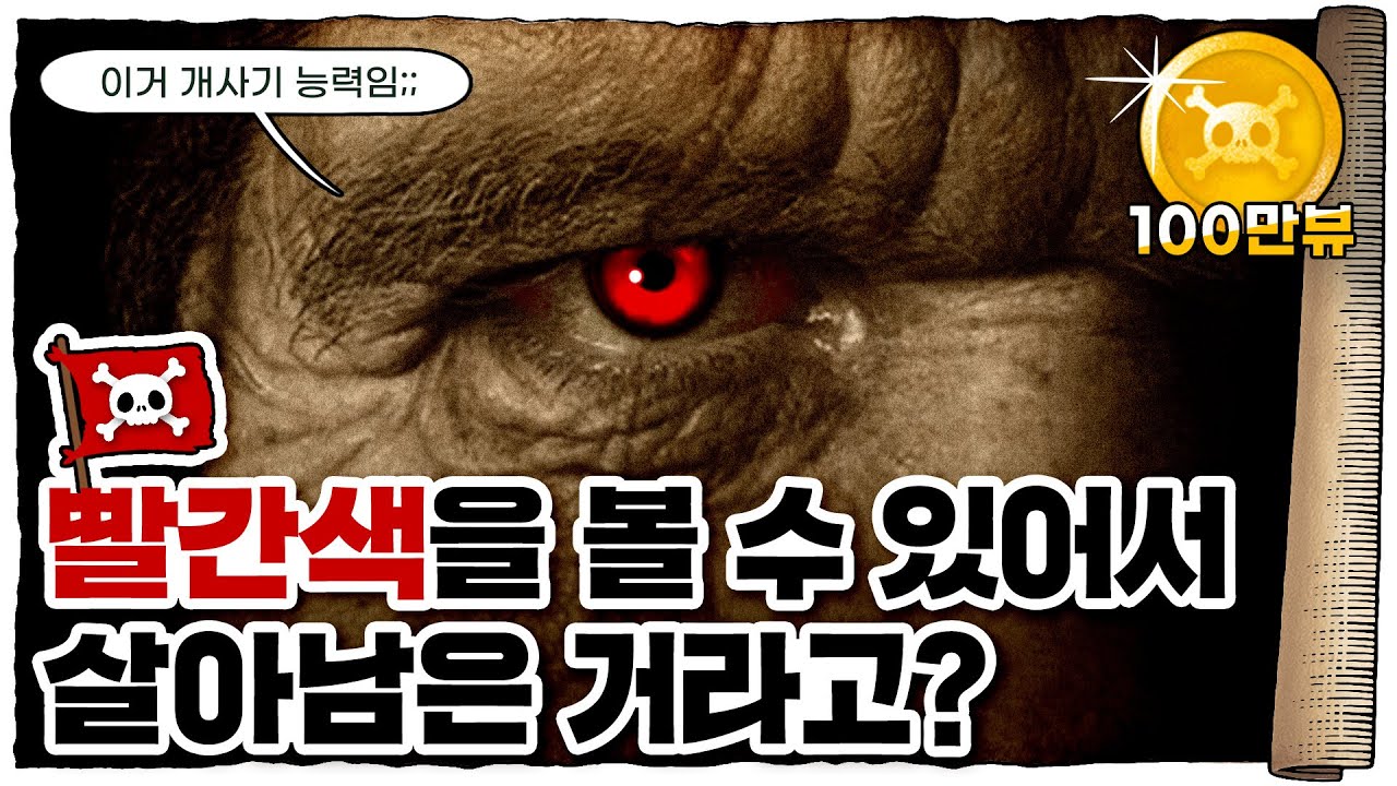 💀 오직 인간만 🟥빨간색을 볼 수 있는 이유 / 💀 붉은색에 관한 간략한 역사