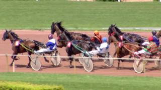 Vidéo de la course PMU PRIX DE CHALLANS