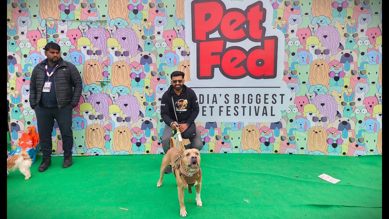 Kaisa hota hai Dog show? Aman and Bully ne diya interview 🐾🎉 - YouTube
