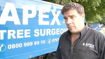 Apex Tree Surgeons Ltd