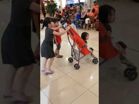 maclaren stroller shark