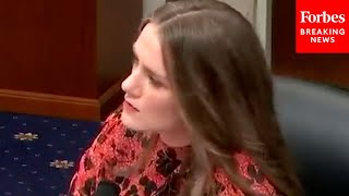 House Witness: 'Why Would You Need To Tell A Three-Year-Old' This Lesson Plan?