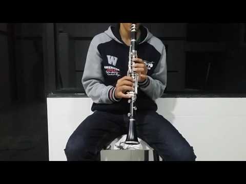 The Moment clarinet cover Kenny G