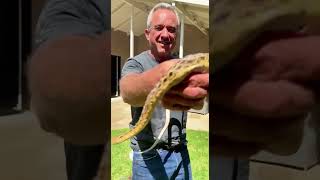 RFK Jr.: The Snake