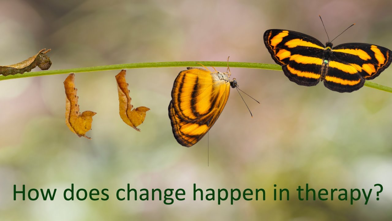 How does change happen in therapy? YouTube