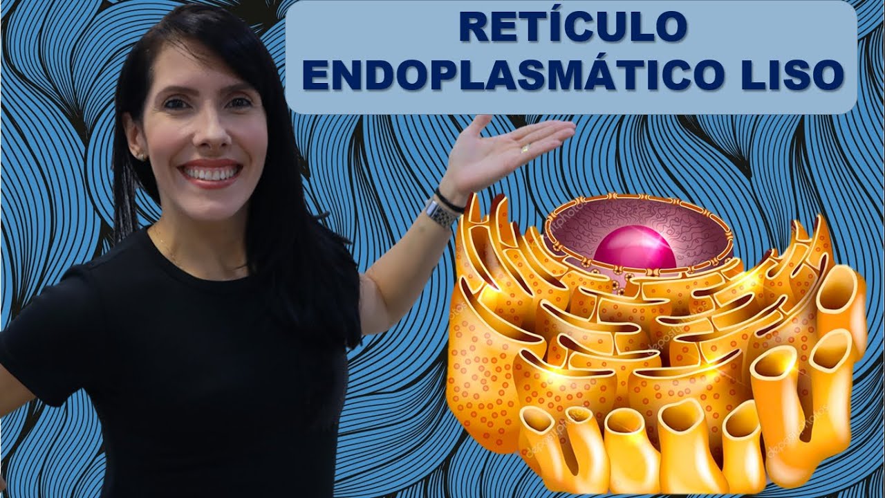Retículo Endoplasmático Liso