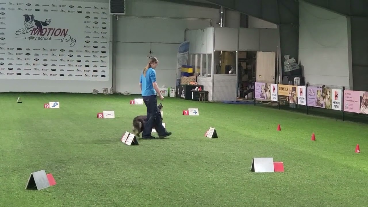 Март 2026,ралли обидиенс 4, Терри