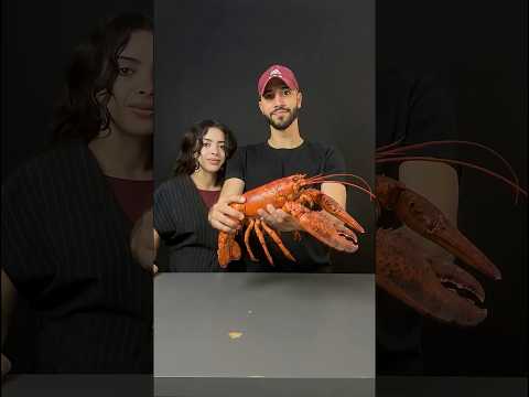 حيواناتي الجميلة - وحشتوني 😭🦞🦆🐈🐇🐓