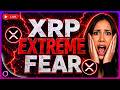 XRP Extreme Fear Massive Rally Coming?! SpaceX $1.78 TRILLION IPO Shock! Bitcoin $48K Warning