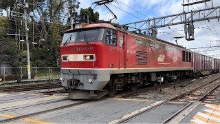【貨物列車】EF510 18[富山]「レッドサンダー」+コキ21B