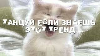 Танцуй если знаешь этот тренд||No_Meow💗🗿