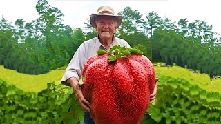 WORLD&#39;S BIGGEST STRAWBERRY - real or fake?